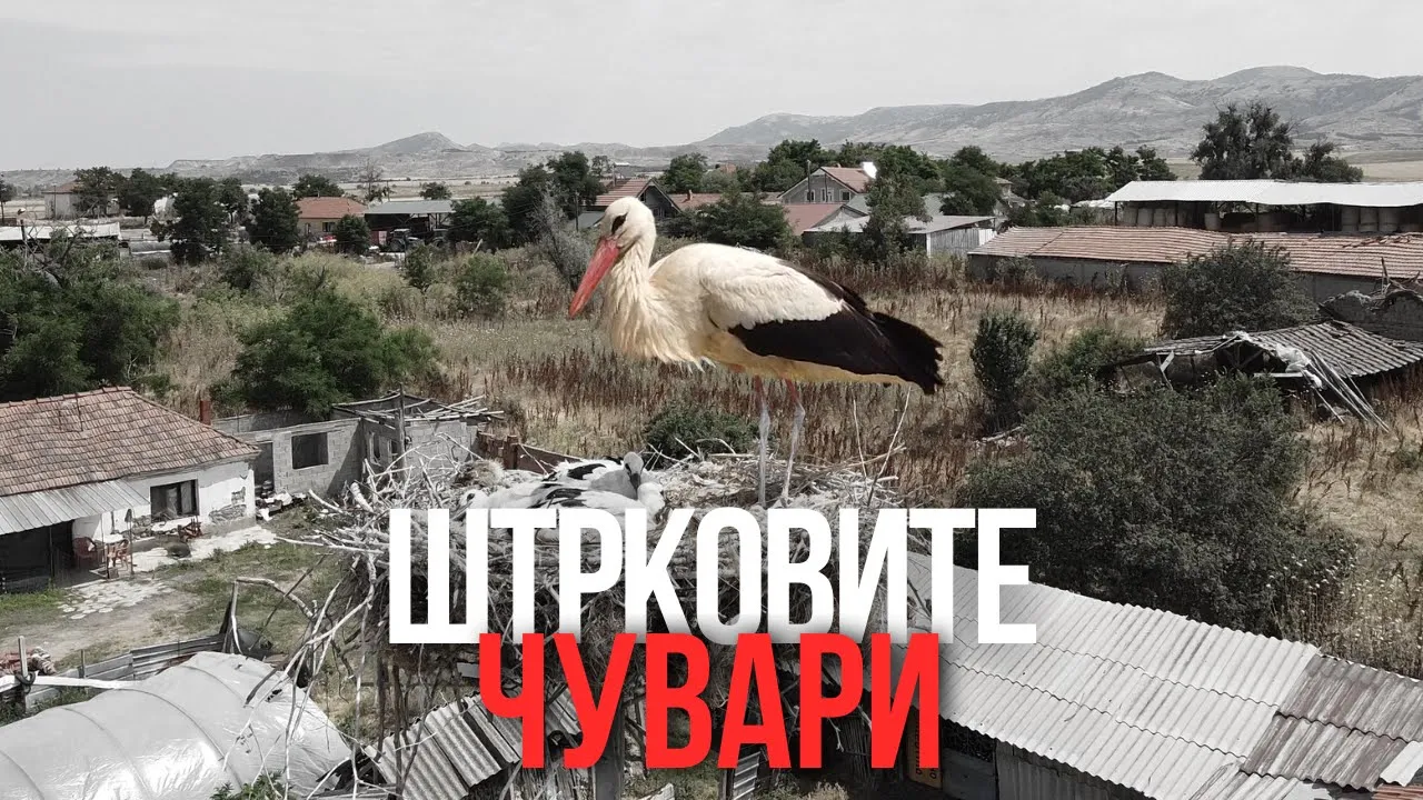 Селото на штрковите